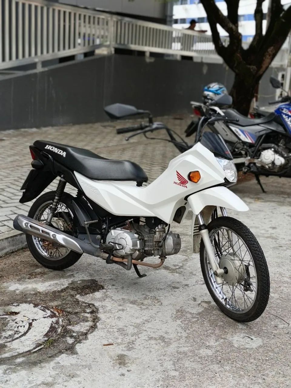 Pop 110 2024