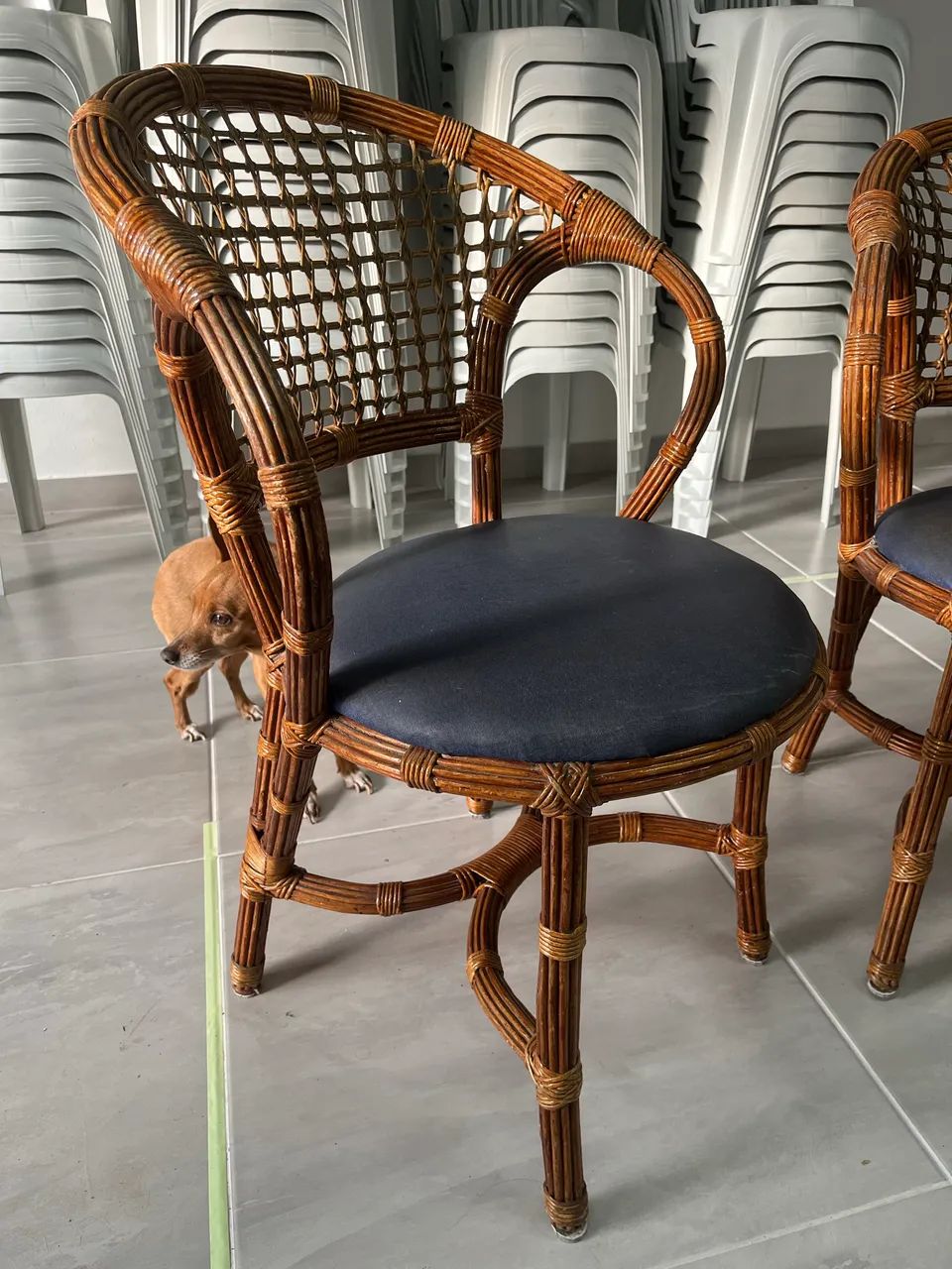 Cadeira de vime (par) - Foto 3