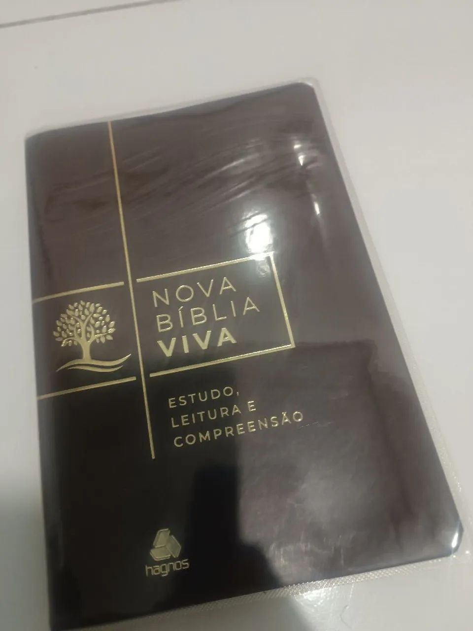 Bíblia de estudo Viva. 