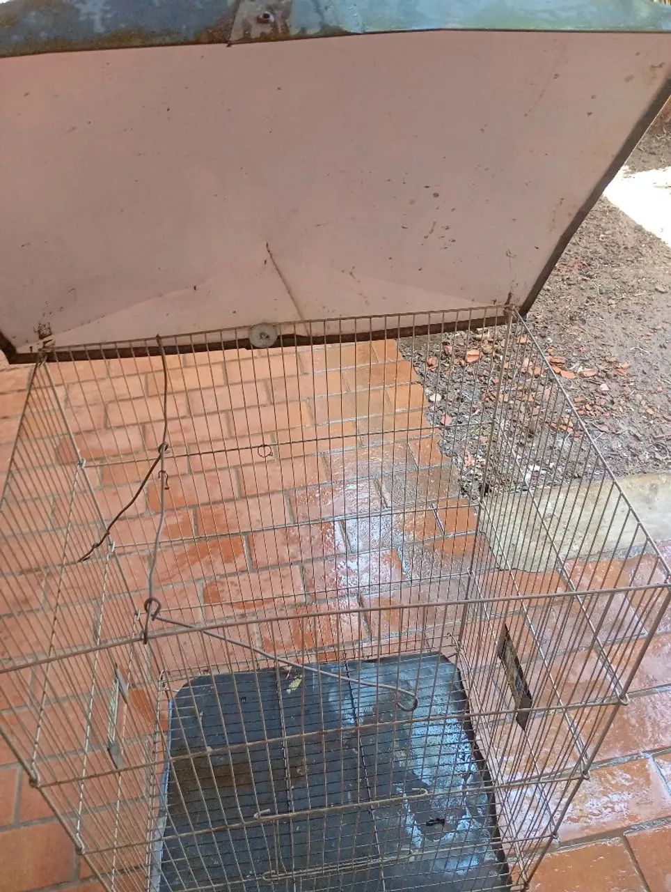 Gaiola para periquito e calopsita  - Foto 4