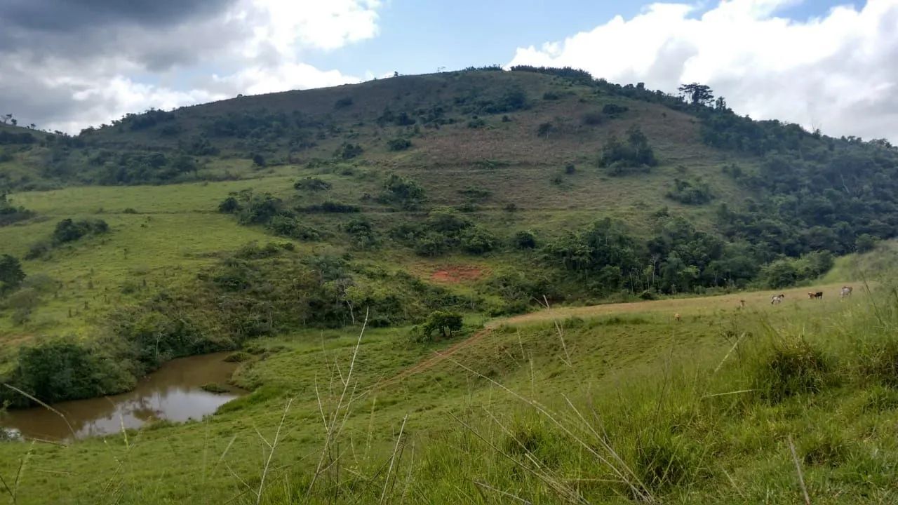 Sitio em Simão Pereira  - Foto 4