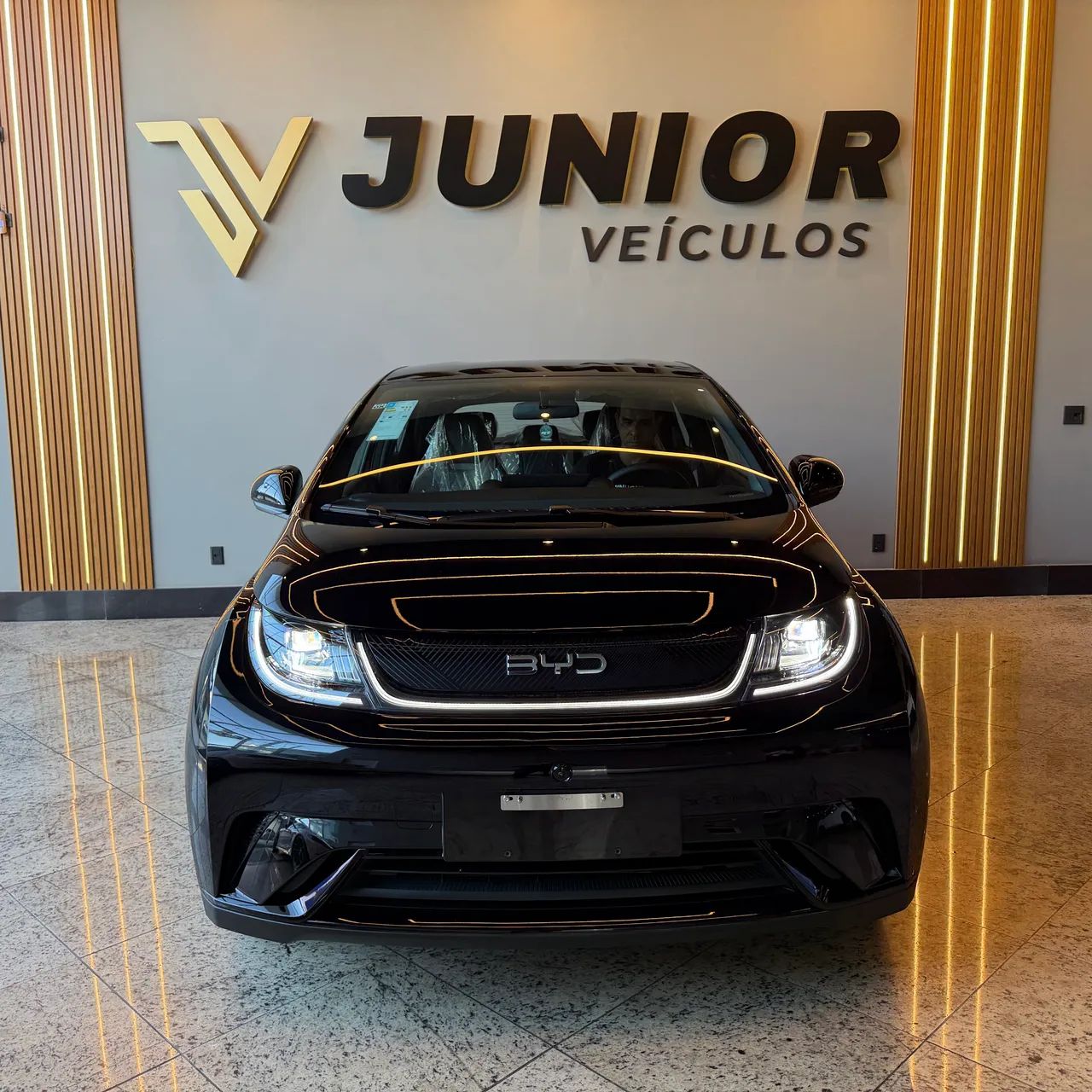 BYD Dolphin GS (Elétrico) 2027 - Foto 5