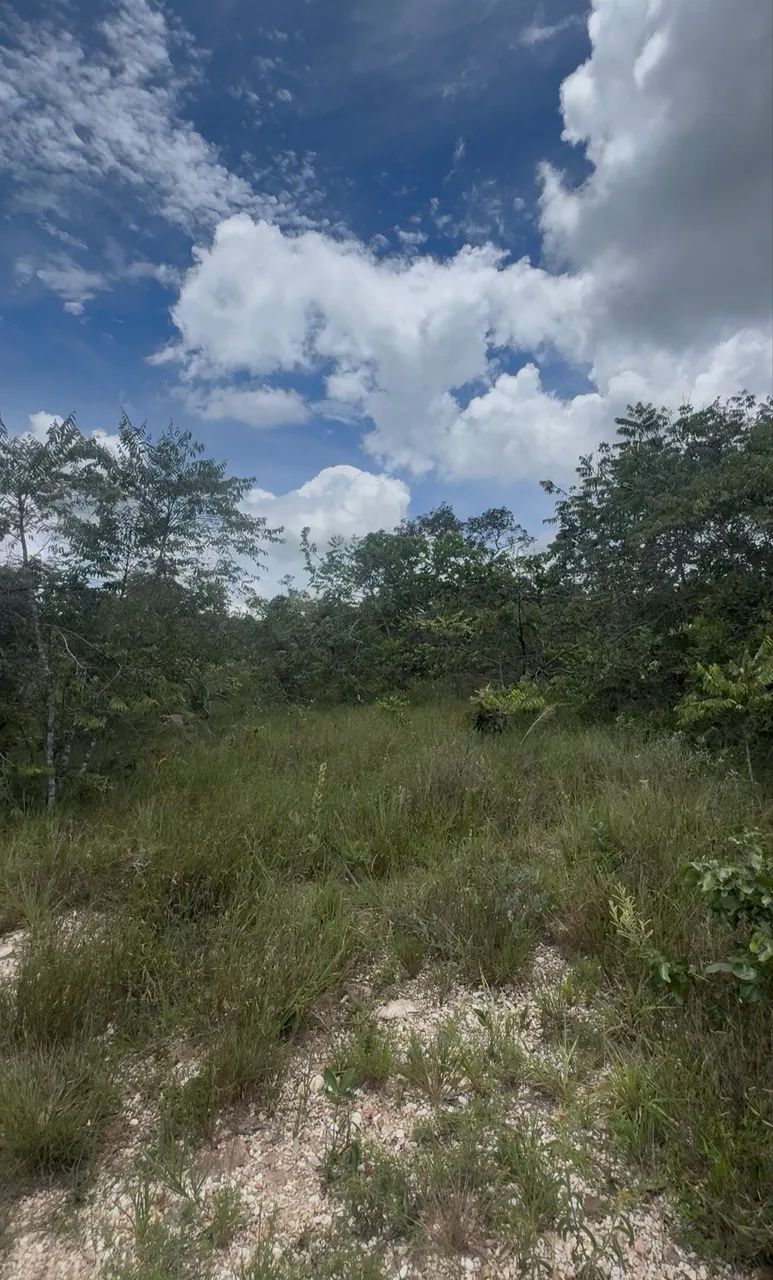 Foto - Abadiânia - 