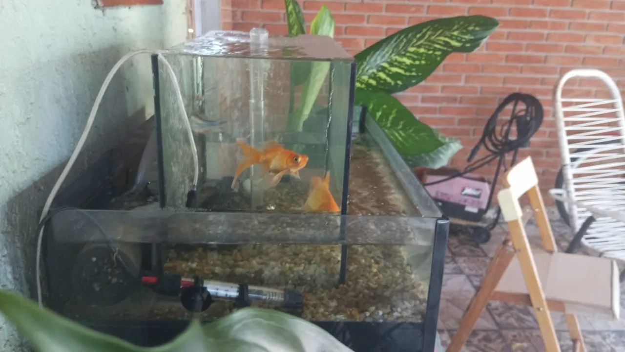 Aquário com borda infinita 