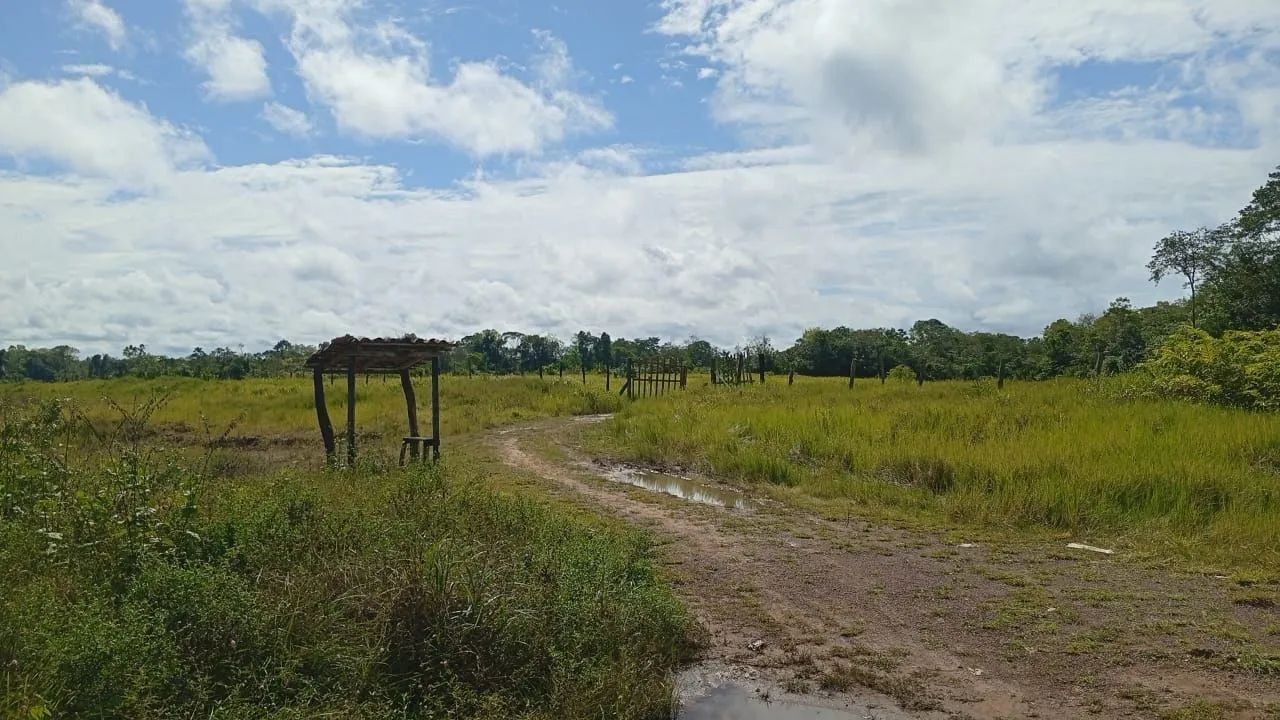 TERRENO ALÇA VIÁRIA  - Foto 4