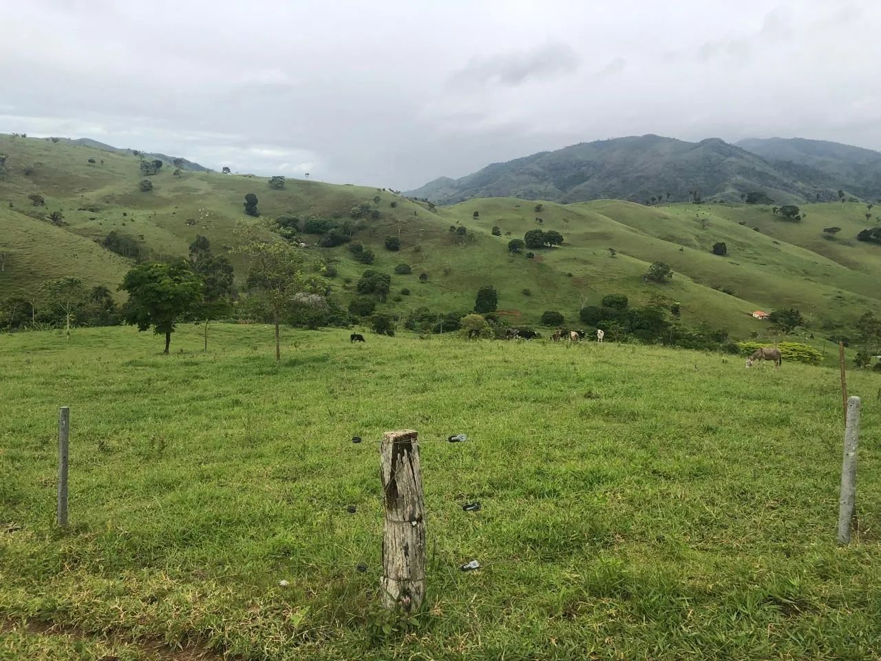 Terra a Venda em Itarantim  - Foto 4