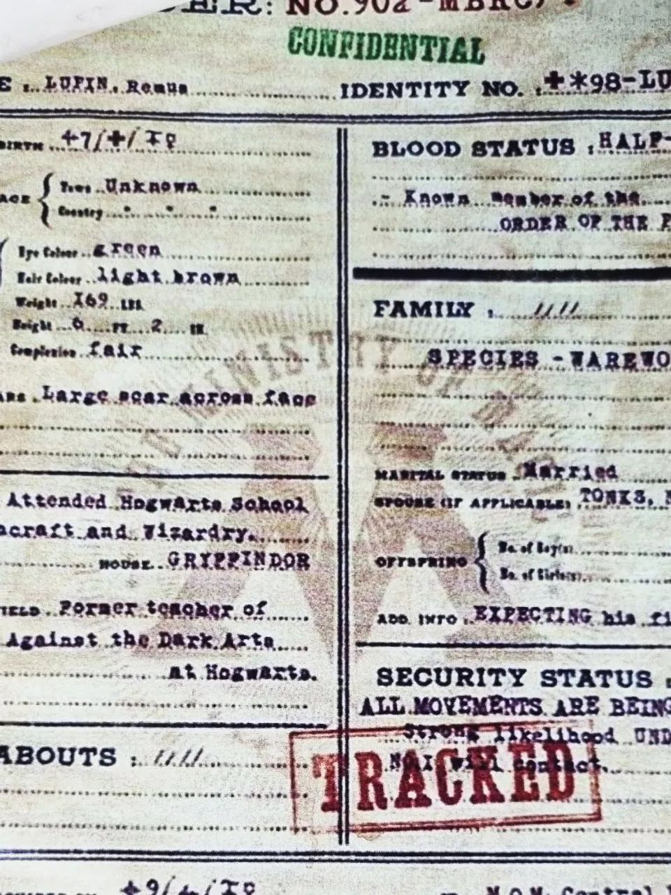 Registro de muggle-born  - Foto 5