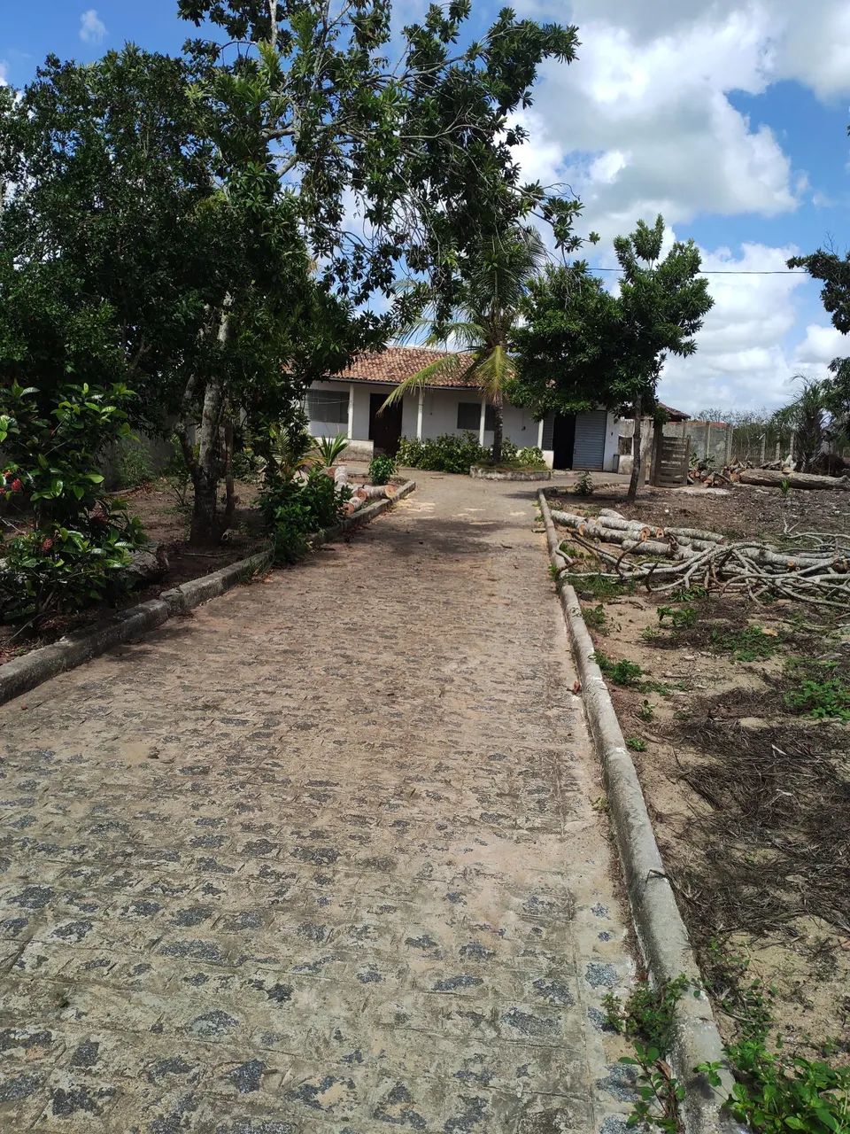 Chácara  - Foto 4