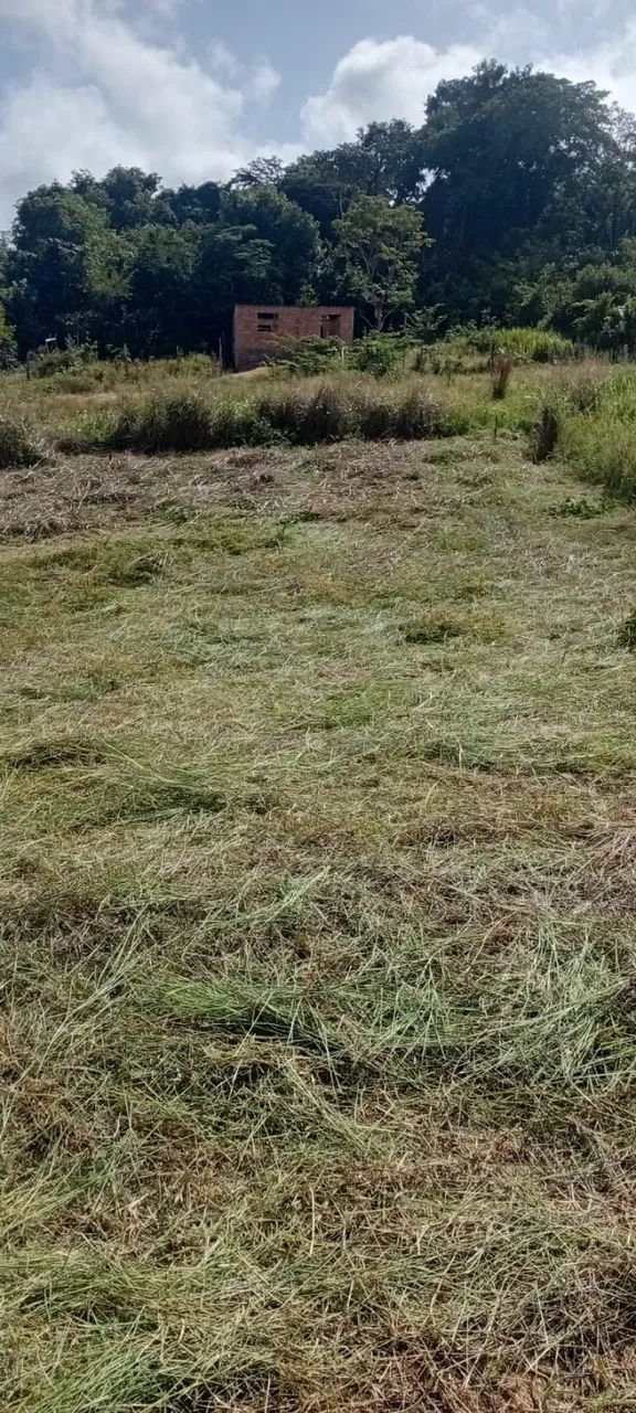 OPORTUNIDADE DE VENDA DE TERRAS - Foto 3