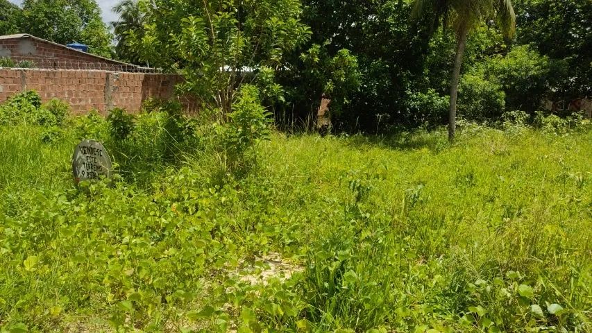 Terreno 200m² - Foto 5