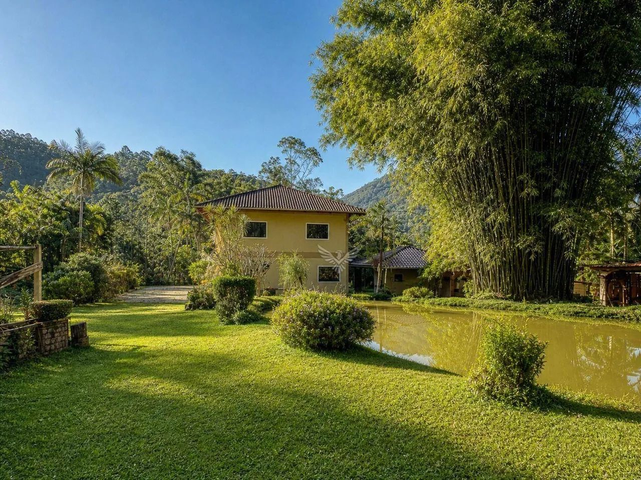 Sitio com casa boa, lagoa em muita natureza
