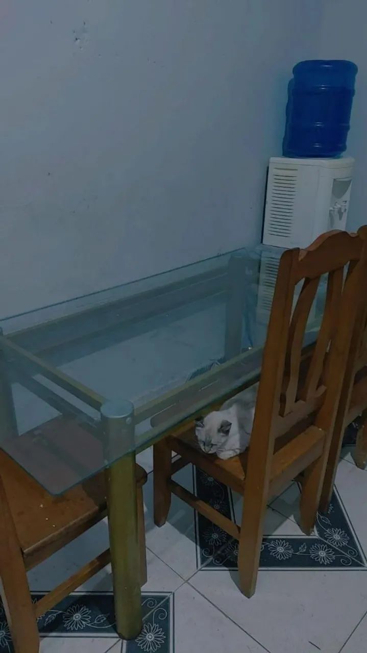 Mesa de vidro 