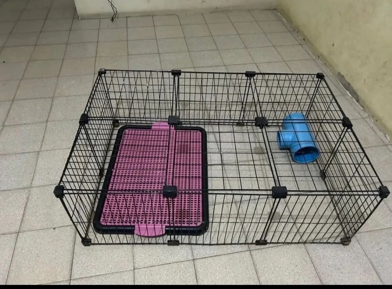 Cercado pra porquinho da índia 