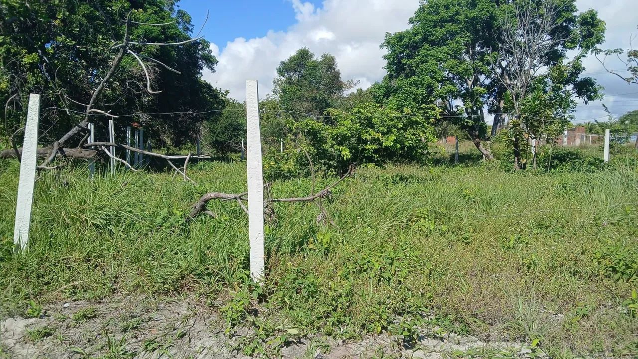 Terreno 15 por 30 - Foto 2