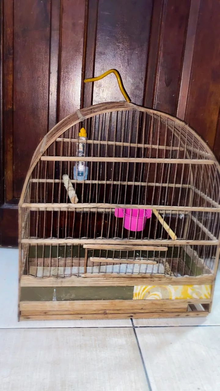 Gaiola para canário 