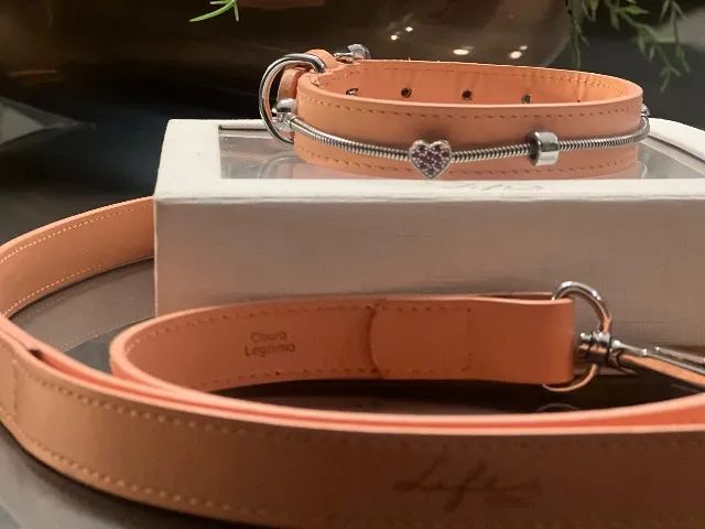 Coleira/Guia LIFE VIVARA  - Foto 2