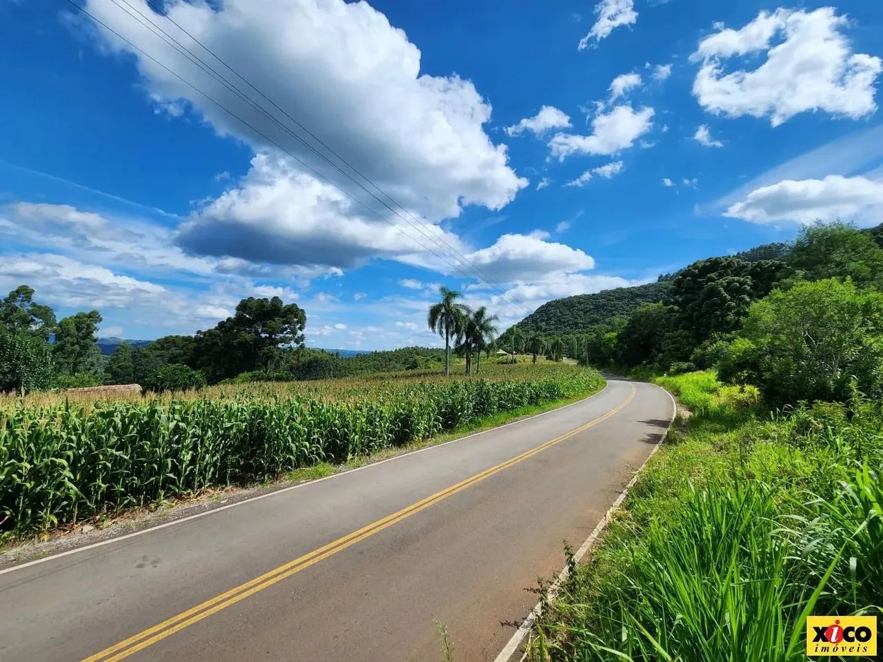 Sítio / Chácara para Venda em Nova Petrópolis, Nove Colonias - Foto 5
