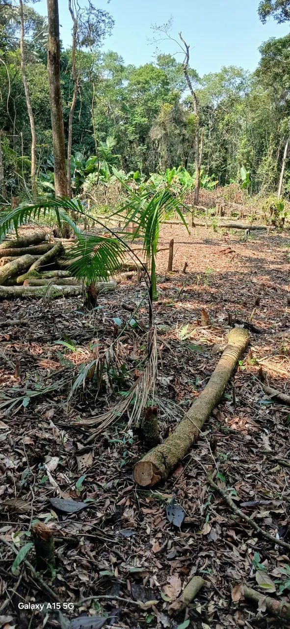 Terreno a venda  - Foto 2