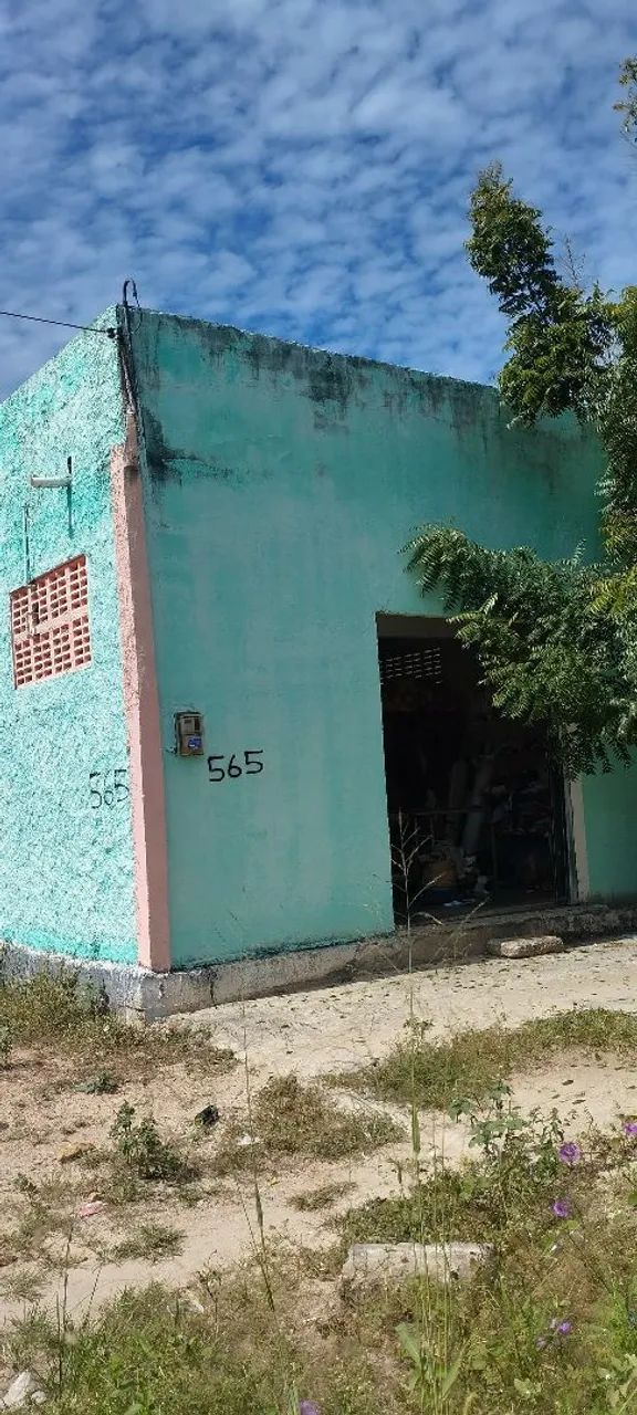 Galpão  - Foto 2