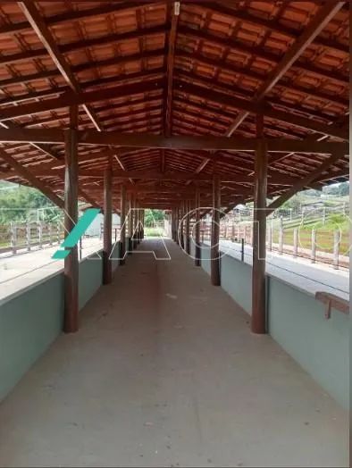 sítio - João Aranha - Paulínia - Foto 5