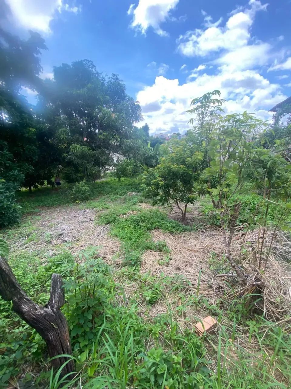 Lote de Oportunidade no Copacabana - Foto 5