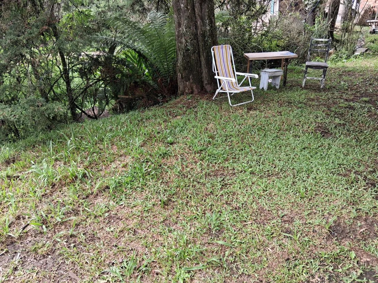 Terreno a venda em Lages - Foto 3