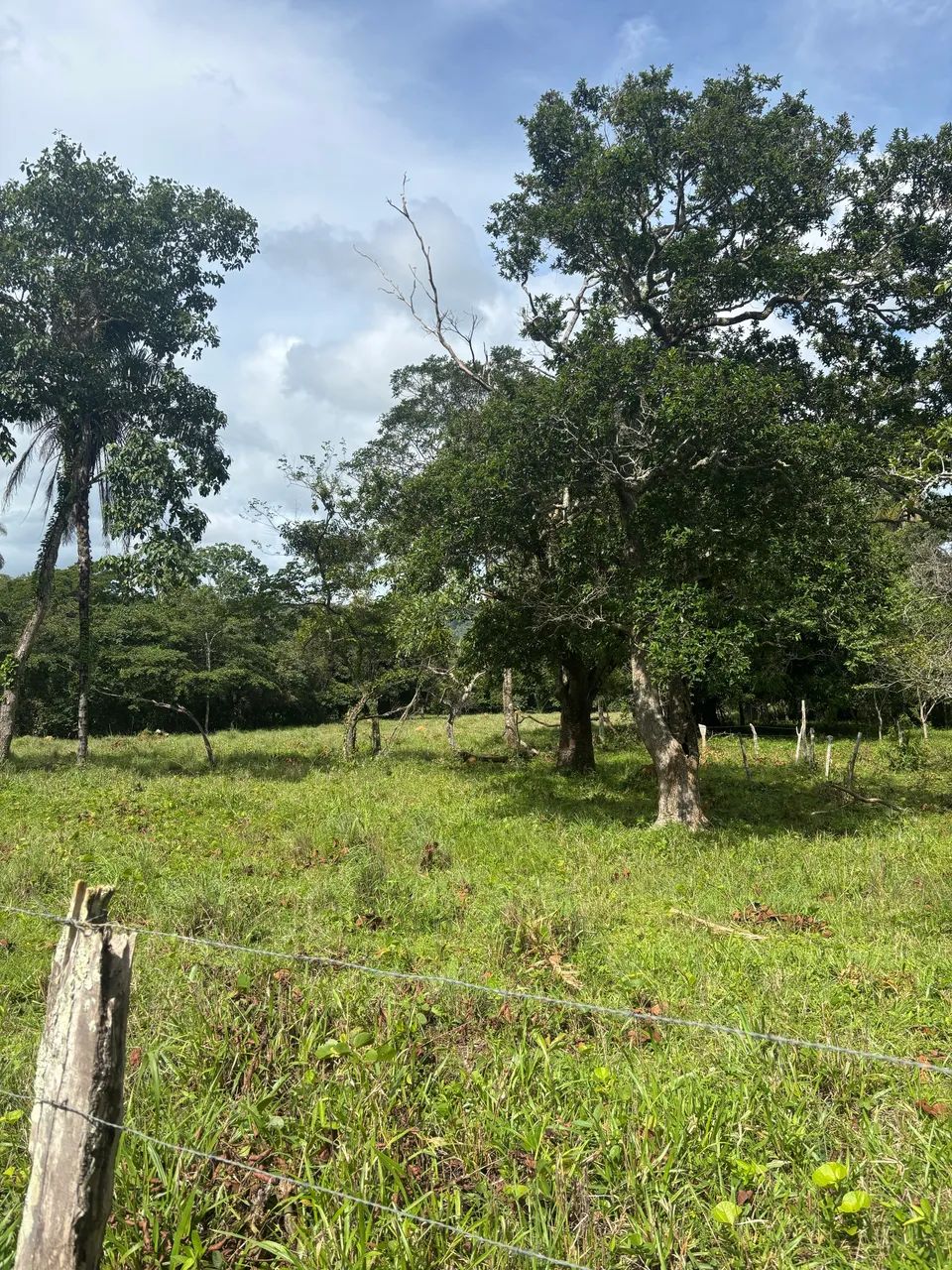 Vendo chácara de 2 Aq. sentido Lajeado  - Foto 4