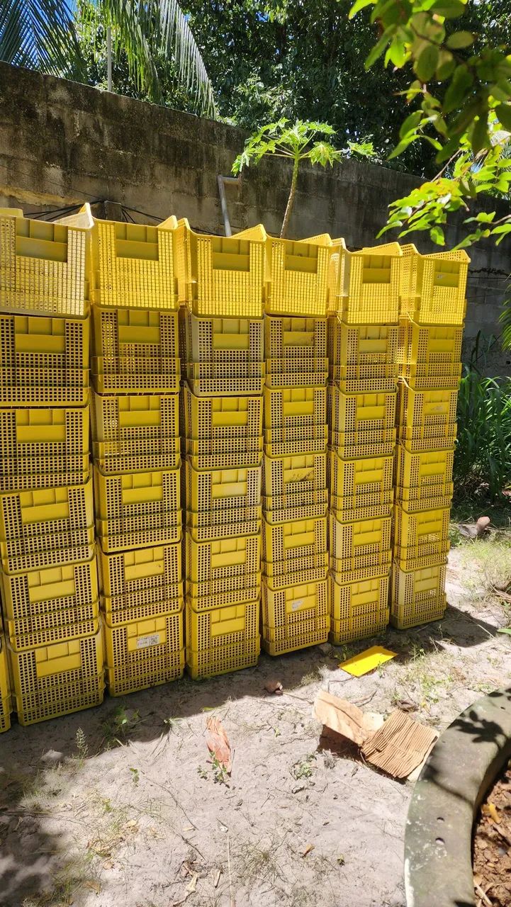 Ecoboxes linha BIN - Foto 4