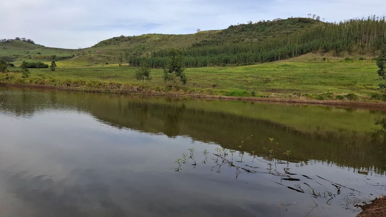Sítio  próximo a Campo Mourão 