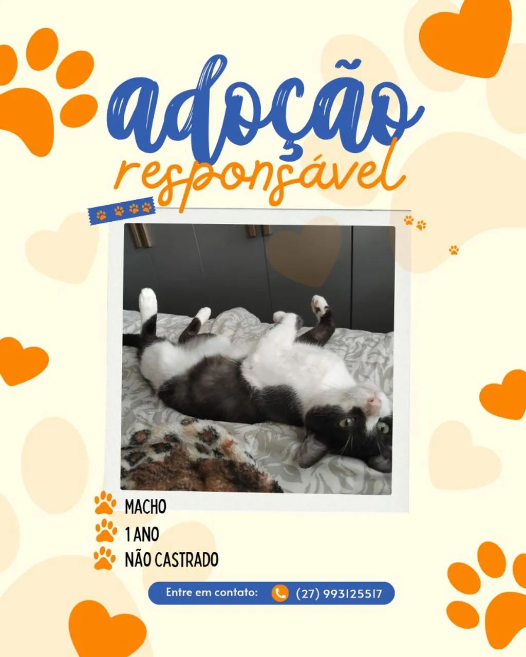 Adoção responsável - Foto 2