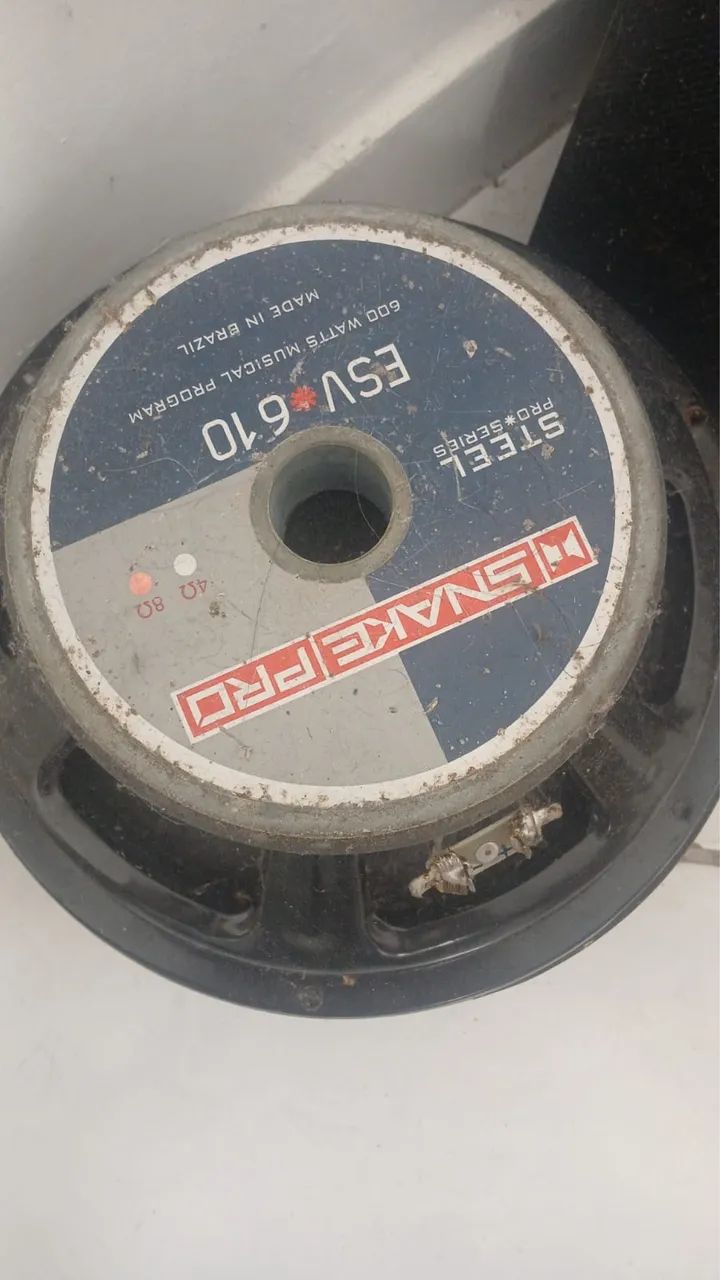 PAR Alto Falante Snake Pro Steel Pro Series ESV 610 de 10 polegadas
