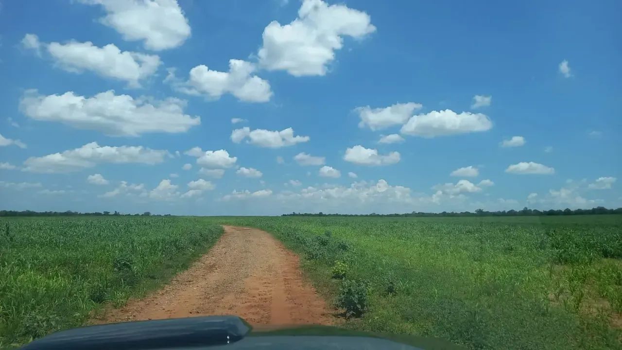FAZENDA A VENDA  com 170 HA - Foto 3