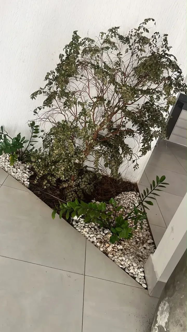 Loja para locação - Foto 5