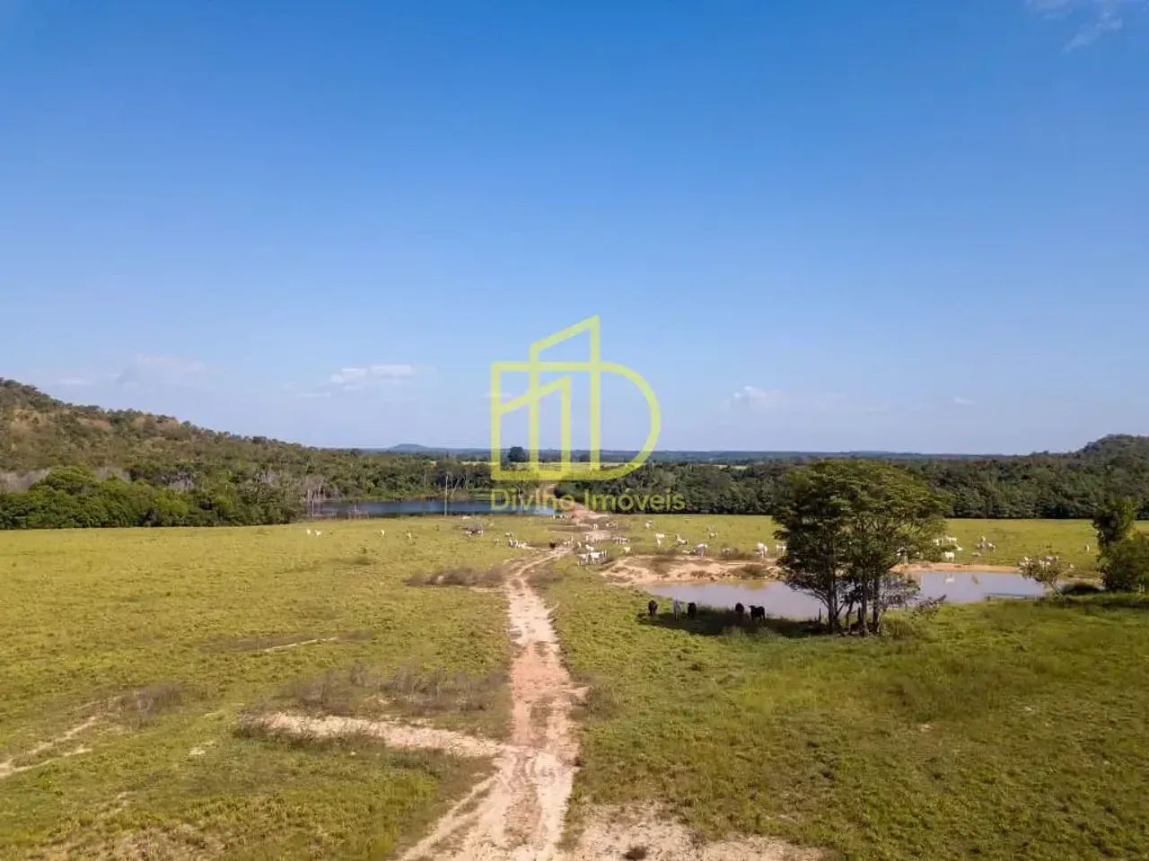 Fazendão à Venda  Goiatins/TO - Foto 4