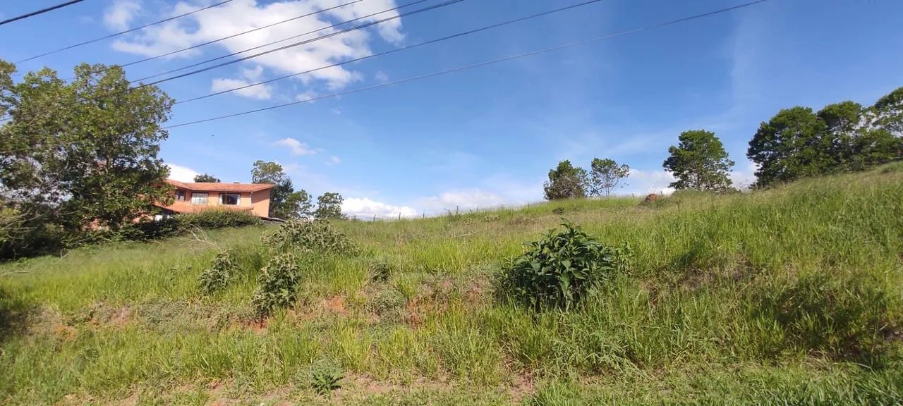 Lote / Terreno - Aeroporto - Foto 4