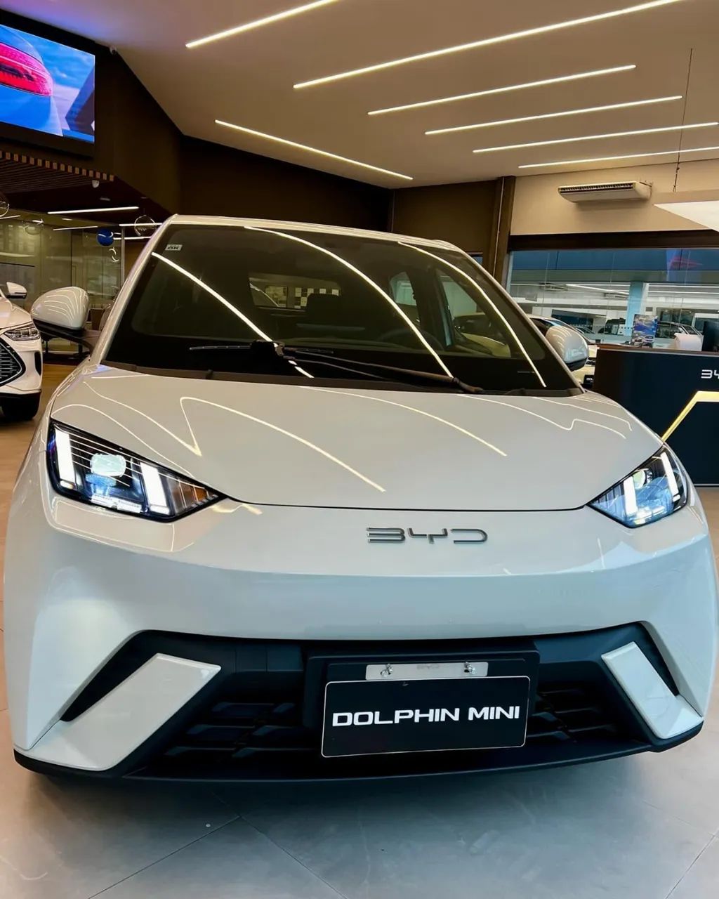 BYD Dolphin Mini (Elétrico) 2026