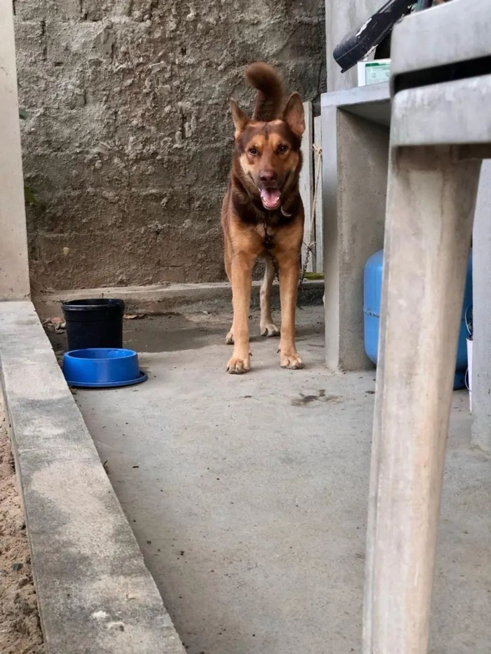 Namorada para o THOR - Foto 2