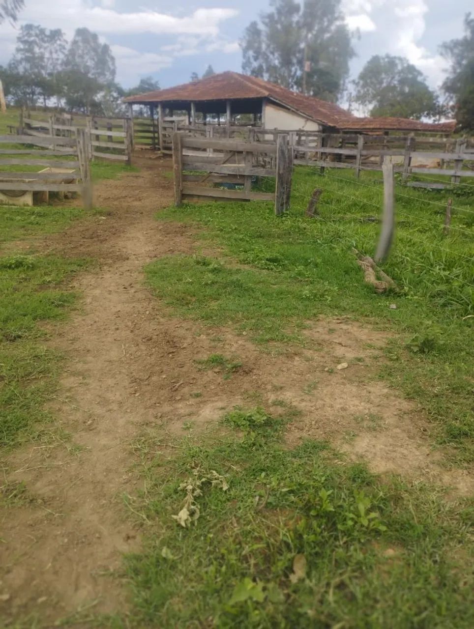 Foto - Paracatu - Área Rural de Paracatu