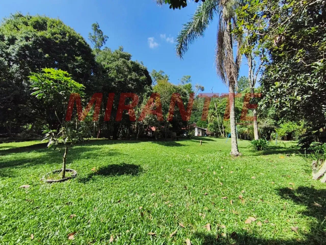 TERRENO PLANO COM NASCENTE | SERRA DA CANTAREIRA  ROSEIRA - Foto 2