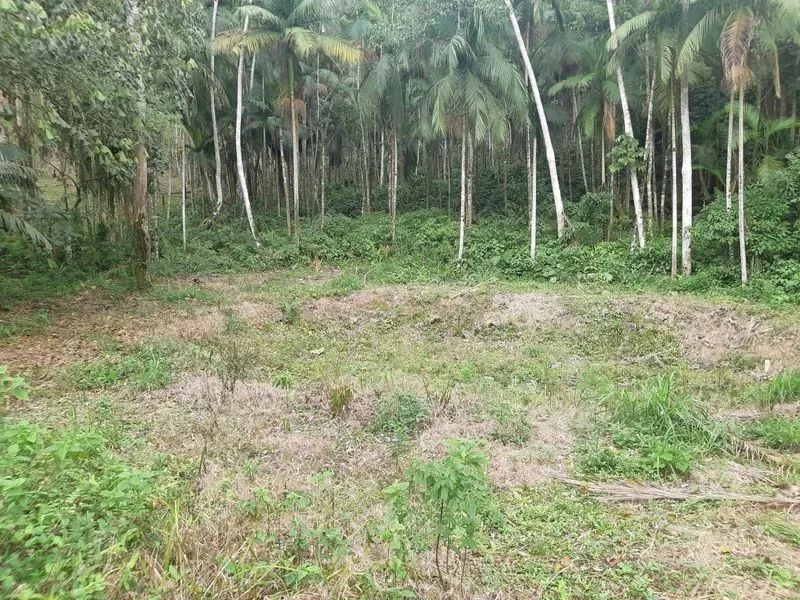 Terreno RIO DOS CEDROS - SC - Foto 4
