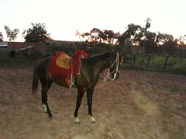 Venda