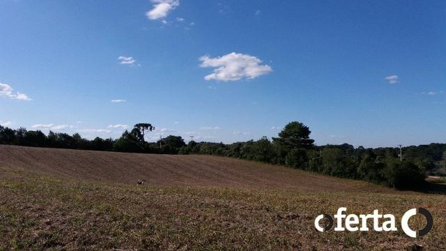 Chácara em Contenda Urbana - (100 mil + 50 parcelas de 2.000,00) / Camionete - Foto 4