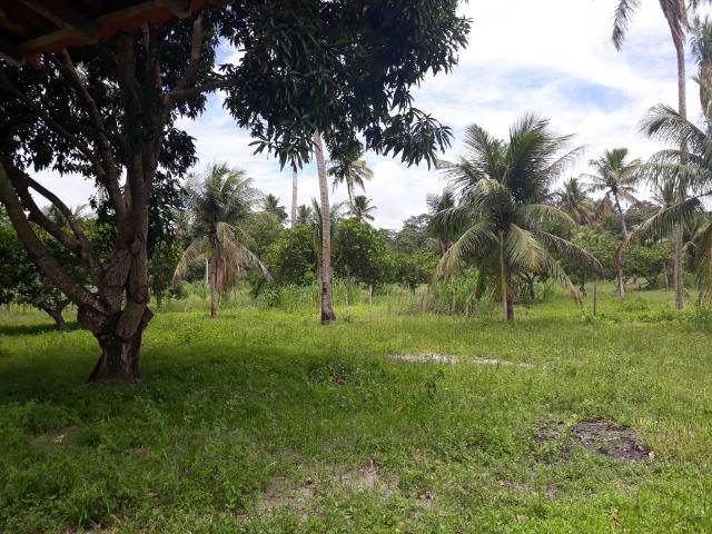 Oportunidade de Chácara, com 5,2 ha, há margem da RN 316, em Monte Alegre/RN - Foto 3