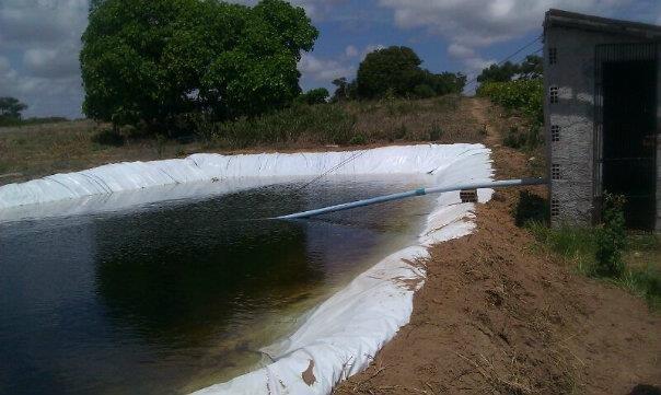 Fazenda em Dom Marcolino - Maxaranguape, RN - Foto 8