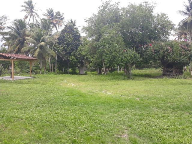 Oportunidade de Chácara, com 5,2 ha, há margem da RN 316, em Monte Alegre/RN - Foto 14