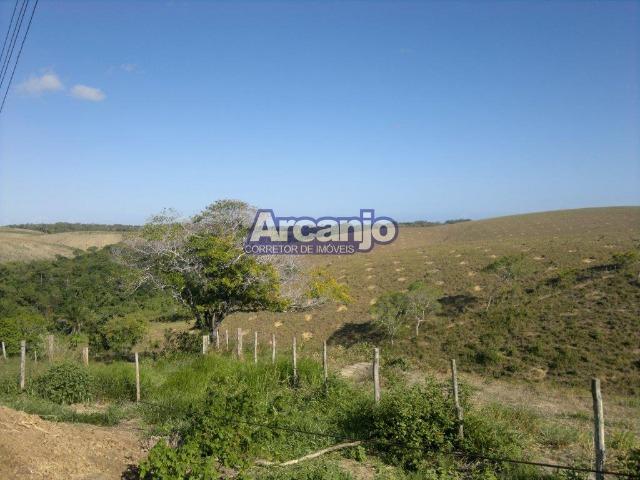 Excelente Fazenda em Ipioca - Ipioca - Um Paraíso Auto Sustentável - Foto 8