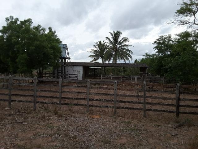 Fazenda em Dom Marcolino - Maxaranguape, RN - Foto 5