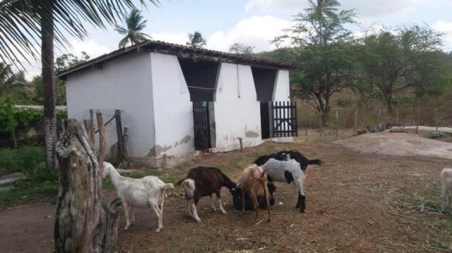 Sítio para venda em gravatá, nossa senhora das graças, 4 dormitórios, 2 suítes, 3 banheiro - Foto 13