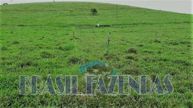 Fazenda em Itamaraju - Foto 15