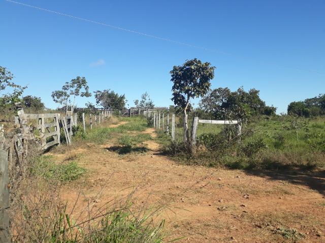 Fazenda com 784,77 hectares entre Jangada e Rosário Oeste - Foto 11